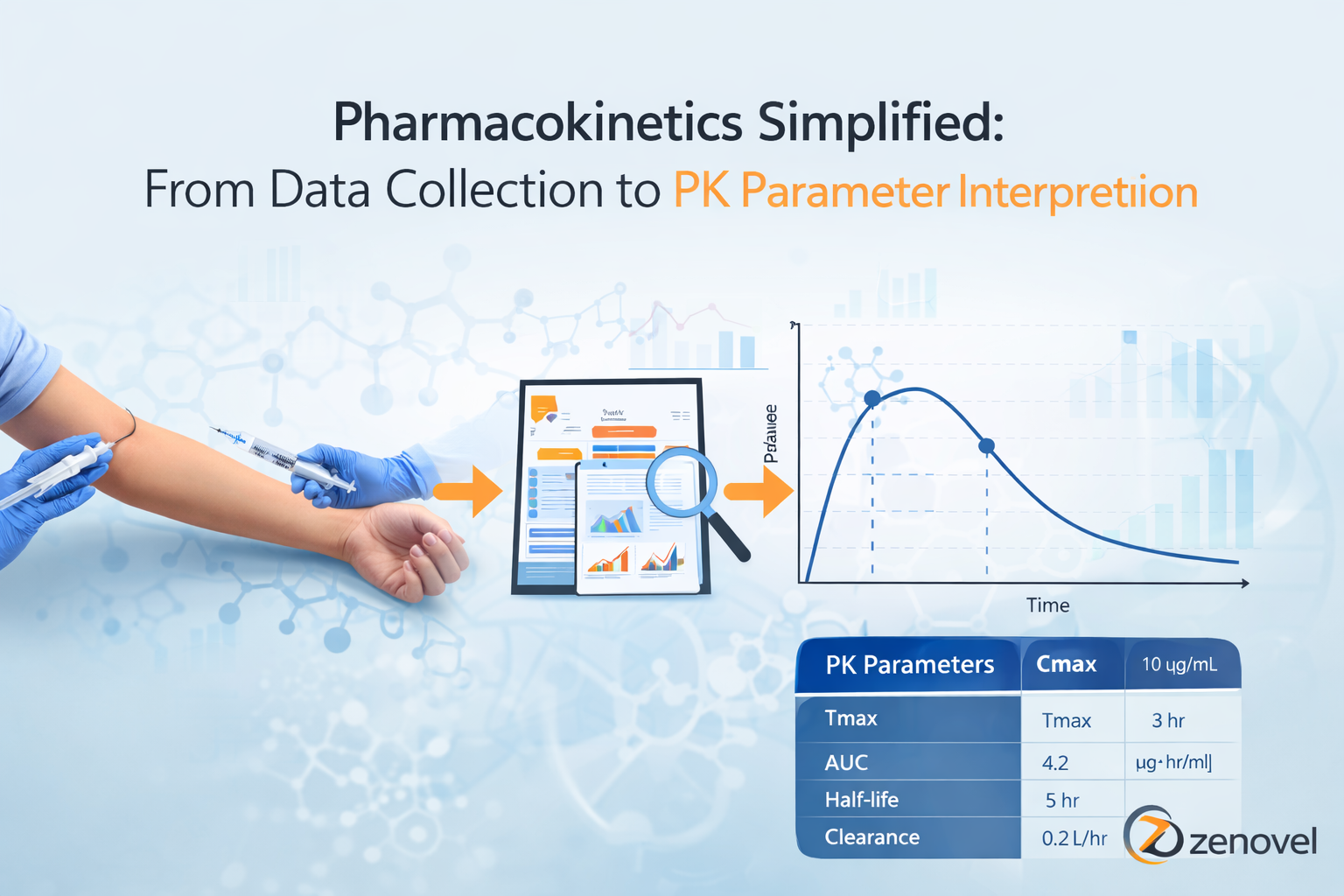 Pharmacokinetics process visualization in action
