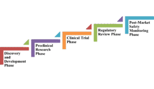 Drug Development phases