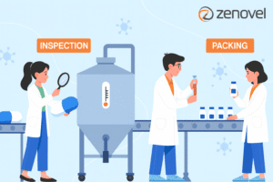 Expert GMP services in India
