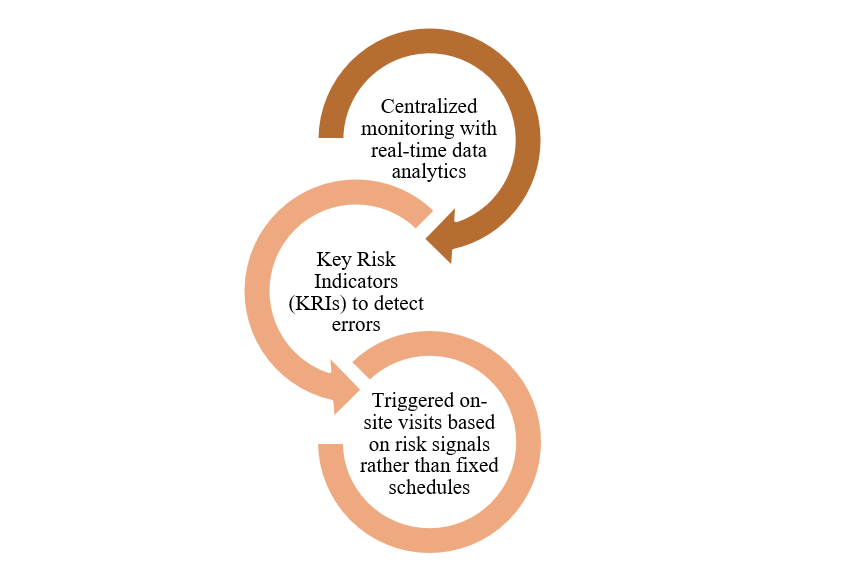 Risk-Based Monitoring (RBM)